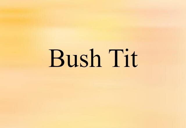 Bush Tit (noun) Definition, Meaning & Examples