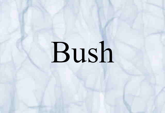 bush