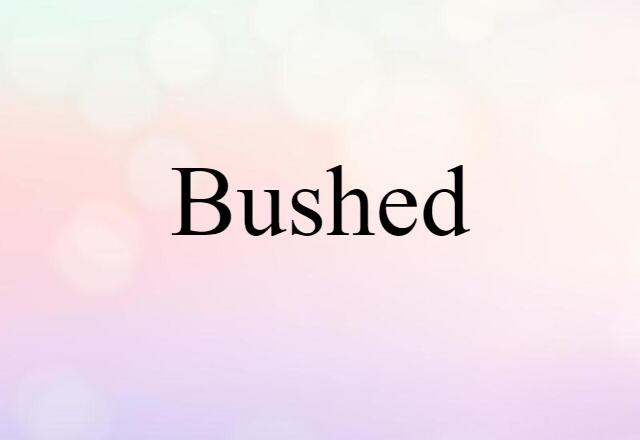 Bushed (noun) Definition, Meaning & Examples