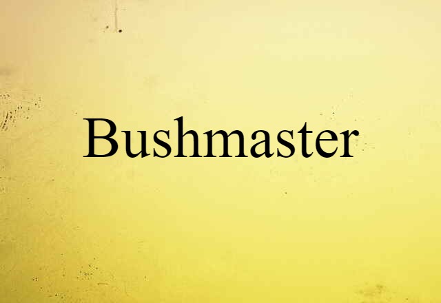 Bushmaster (noun) Definition, Meaning & Examples