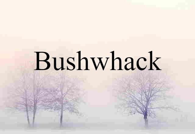 Bushwhack (noun) Definition, Meaning & Examples