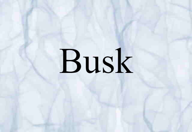 Busk (noun) Definition, Meaning & Examples