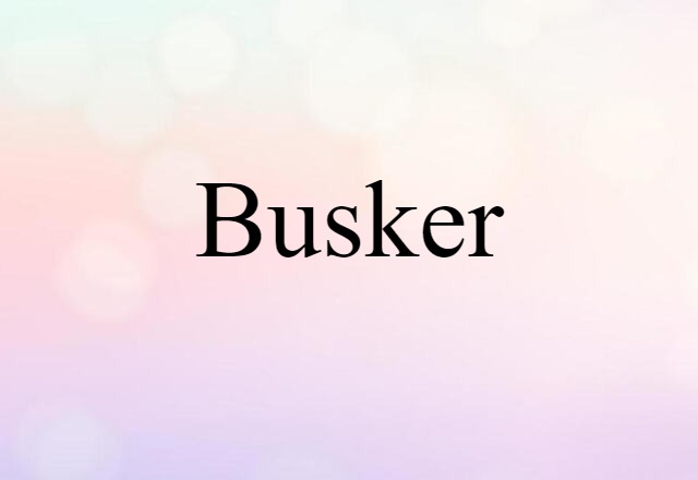 Busker (noun) Definition, Meaning & Examples