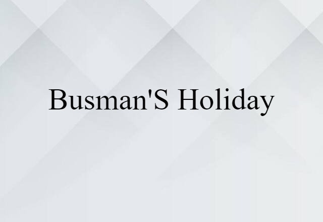 Busman's Holiday (noun) Definition, Meaning & Examples