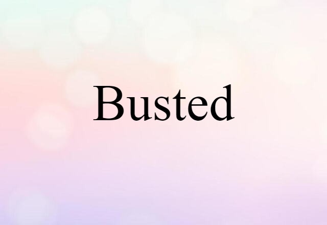 Busted (noun) Definition, Meaning & Examples