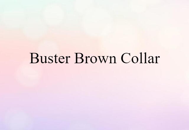 Buster Brown Collar (noun) Definition, Meaning & Examples