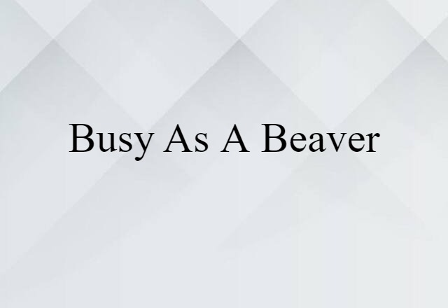 Busy As A Beaver (noun) Definition, Meaning & Examples