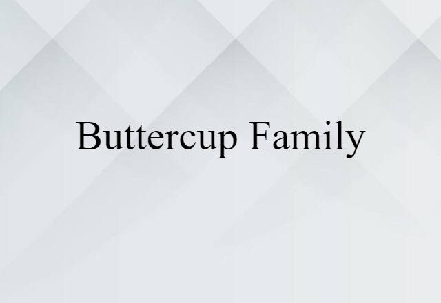 buttercup family