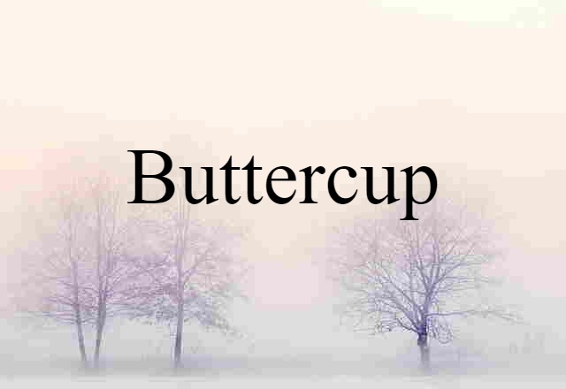 Buttercup (noun) Definition, Meaning & Examples