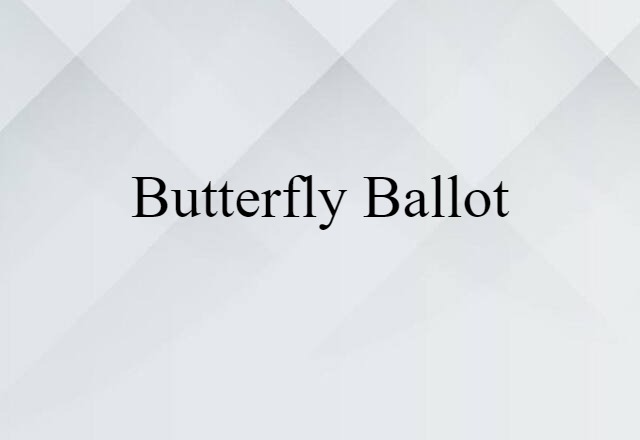 butterfly ballot