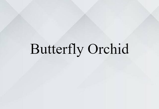 butterfly orchid