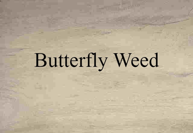 Butterfly Weed (noun) Definition, Meaning & Examples