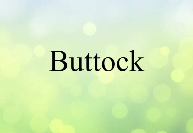 Buttock (noun) Definition, Meaning & Examples