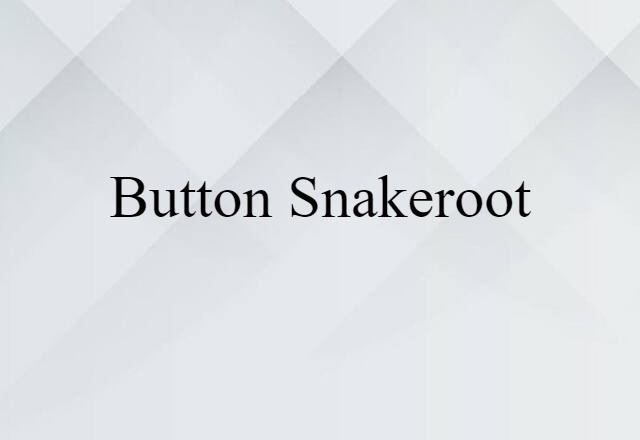 button snakeroot