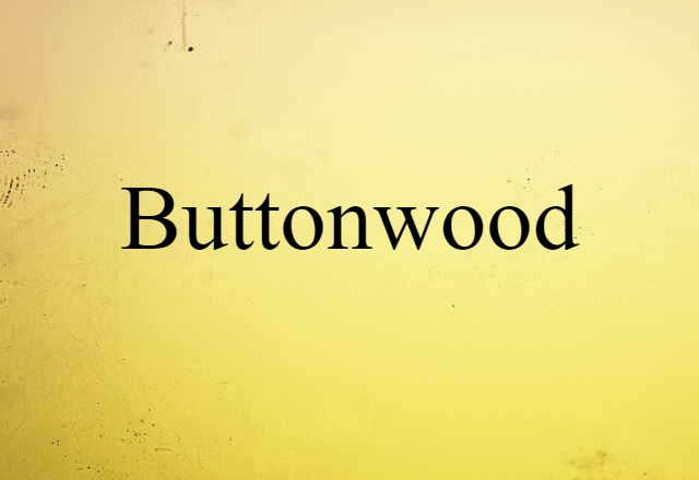 Buttonwood (noun) Definition, Meaning & Examples