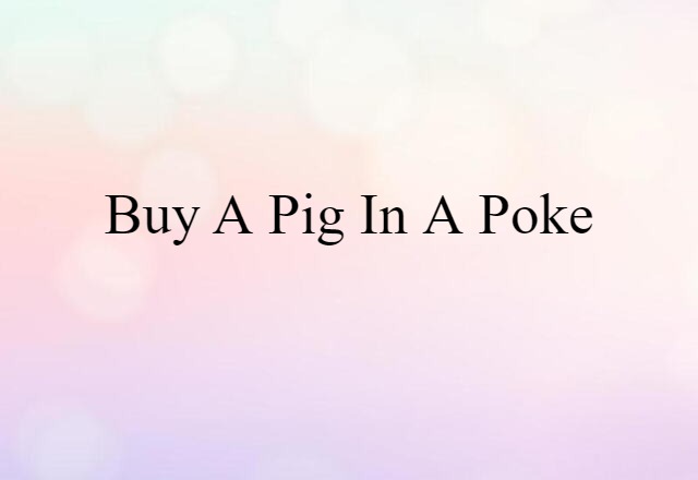 Buy A Pig In A Poke (noun) Definition, Meaning & Examples