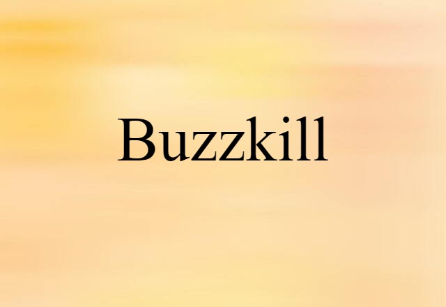 Buzzkill (noun) Definition, Meaning & Examples