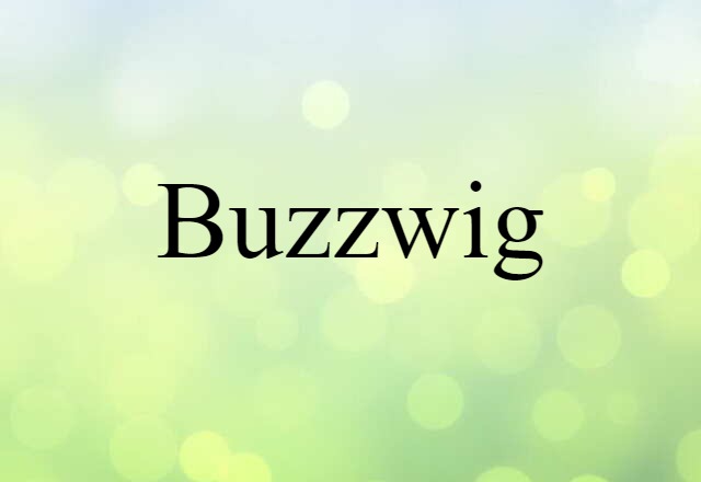 Buzzwig (noun) Definition, Meaning & Examples