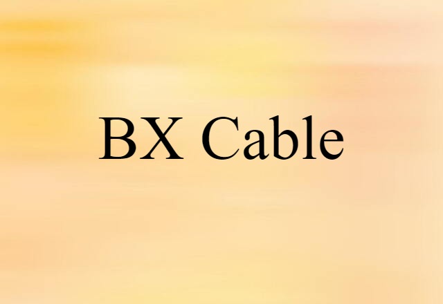 BX Cable (noun) Definition, Meaning & Examples