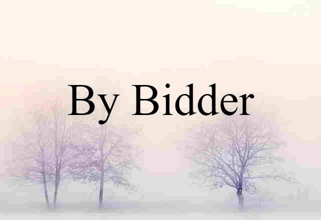 By Bidder (noun) Definition, Meaning & Examples