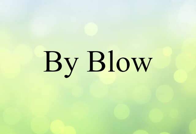 By-blow (noun) Definition, Meaning & Examples