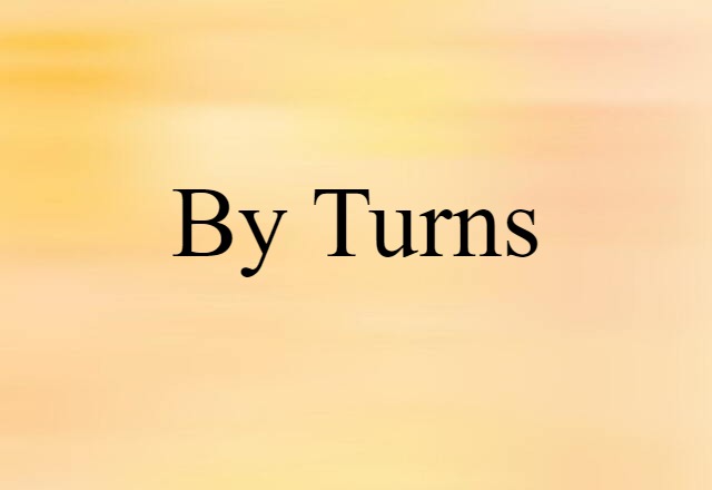 By Turns (noun) Definition, Meaning & Examples