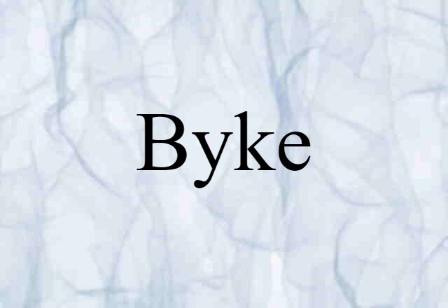 Byke (noun) Definition, Meaning & Examples