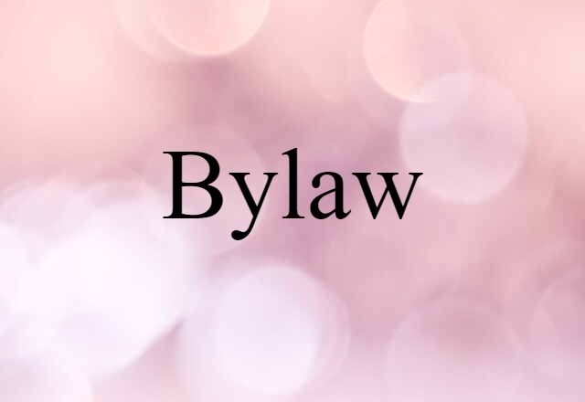 Bylaw (noun) Definition, Meaning & Examples