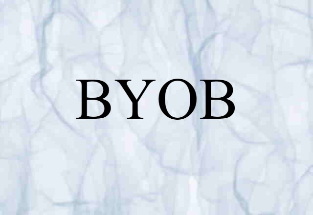 BYOB (noun) Definition, Meaning & Examples