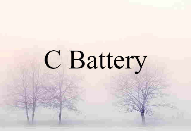 C Battery (noun) Definition, Meaning & Examples