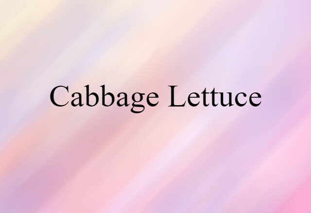 Cabbage Lettuce (noun) Definition, Meaning & Examples