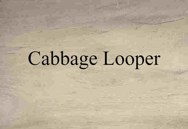 cabbage looper