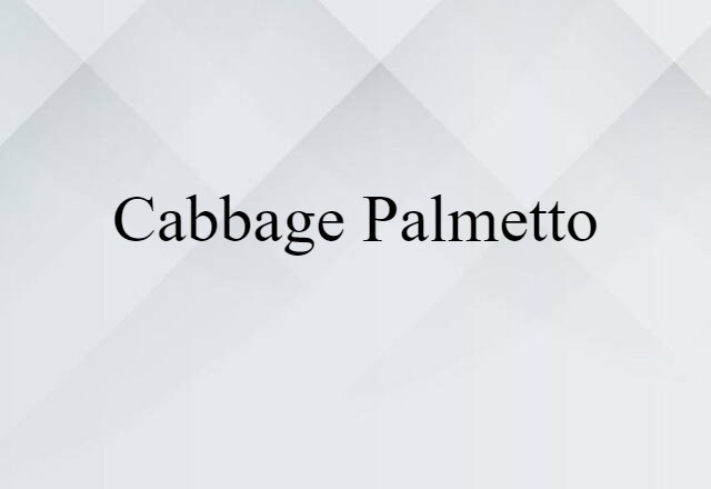 Cabbage Palmetto (noun) Definition, Meaning & Examples