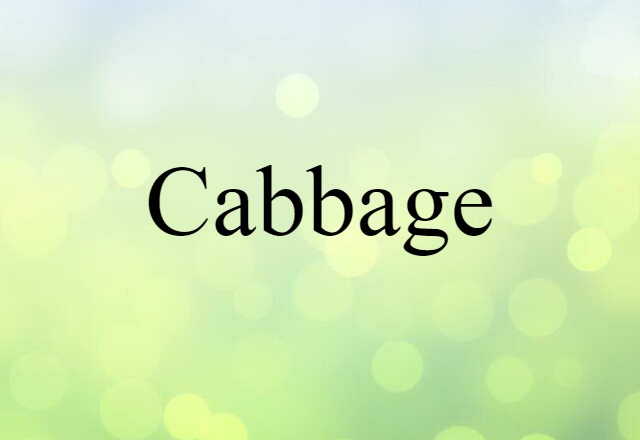 Cabbage (noun) Definition, Meaning & Examples