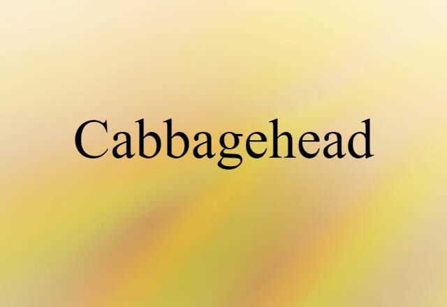 Cabbagehead (noun) Definition, Meaning & Examples