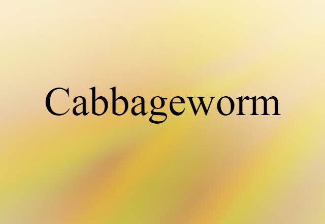 Cabbageworm (noun) Definition, Meaning & Examples