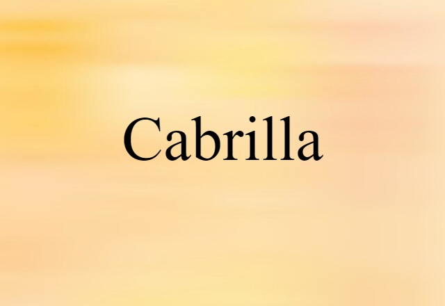 Cabrilla (noun) Definition, Meaning & Examples