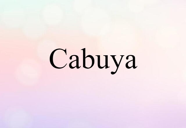 Cabuya (noun) Definition, Meaning & Examples