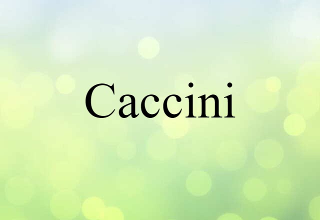 Caccini (noun) Definition, Meaning & Examples