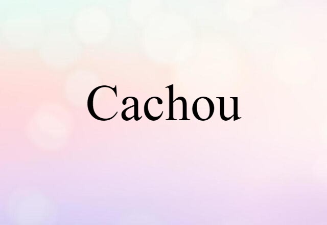 Cachou (noun) Definition, Meaning & Examples