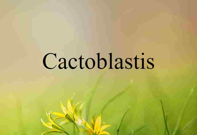 Cactoblastis (noun) Definition, Meaning & Examples