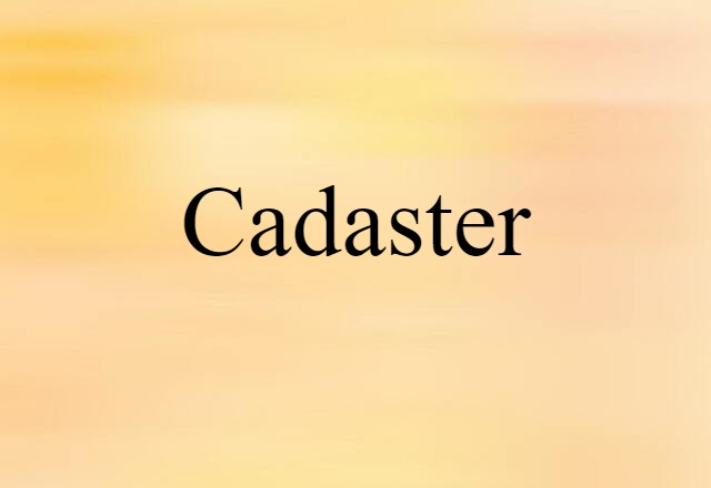 Cadaster (noun) Definition, Meaning & Examples