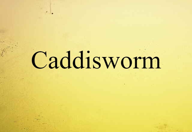 Caddisworm (noun) Definition, Meaning & Examples