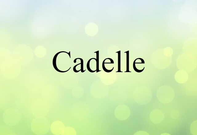 Cadelle (noun) Definition, Meaning & Examples