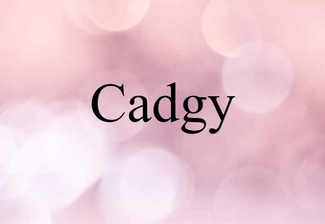 Cadgy (noun) Definition, Meaning & Examples