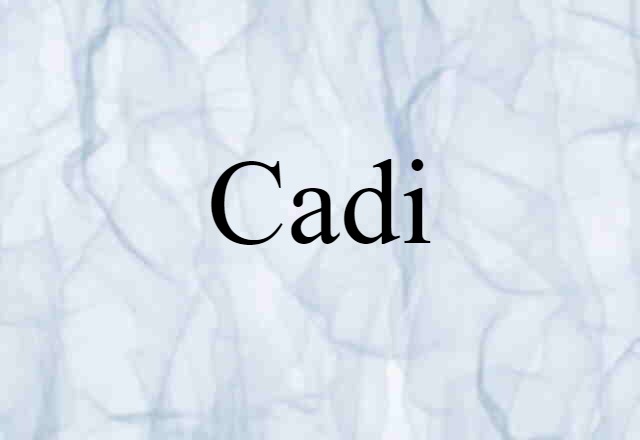 Cadi (noun) Definition, Meaning & Examples