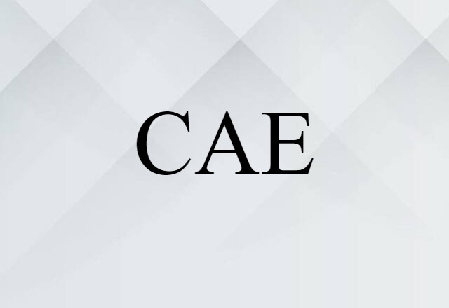 CAE (noun) Definition, Meaning & Examples