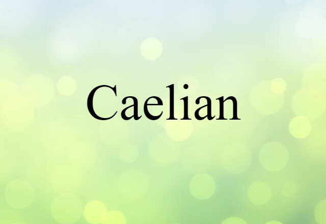 Caelian (noun) Definition, Meaning & Examples