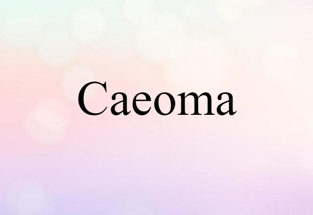 Caeoma (noun) Definition, Meaning & Examples