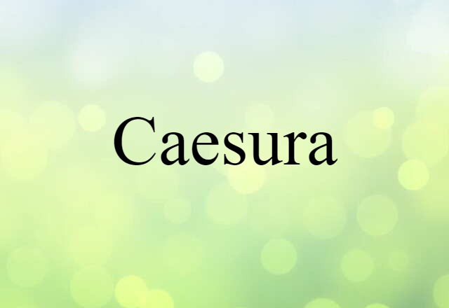 Caesura (noun) Definition, Meaning & Examples